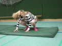 musicaldance11